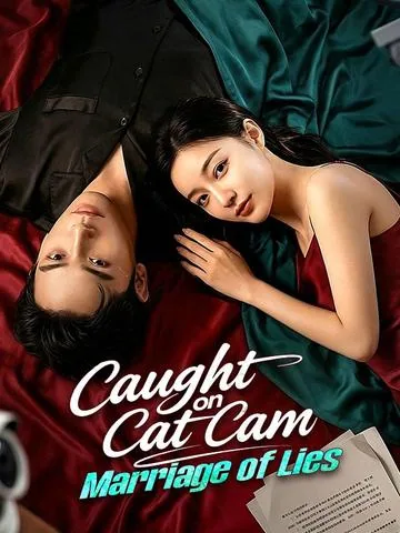The Footage That Broke a Marriage DramaBox