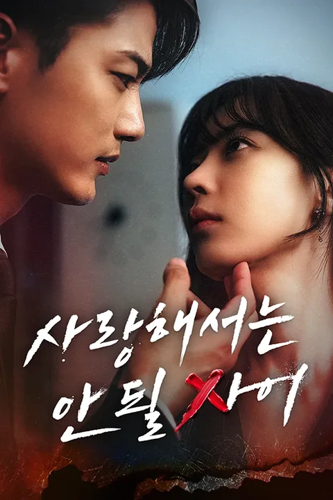사랑해서는 안 될 사이