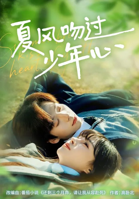 하풍문과소년심 (夏风吻过少年心)