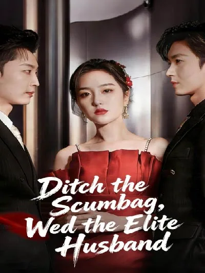 Ditch the Scumbag, Wed the Elite Husband