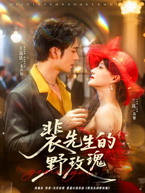 배선생적야매괴 (裴先生的野玫瑰) HongGuo