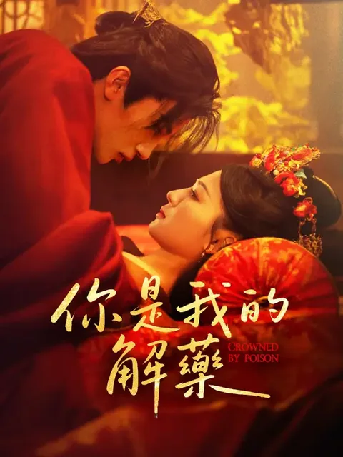 你是我的解藥