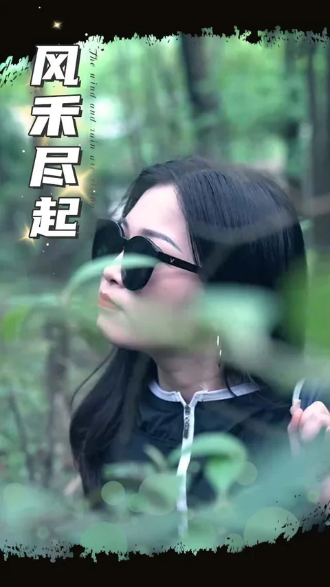 风禾尽起