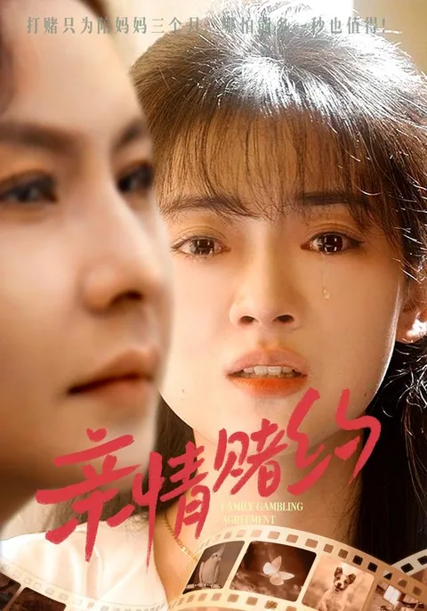 亲情赌约