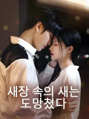 돌아온 첫사랑의 진실 SarosTV