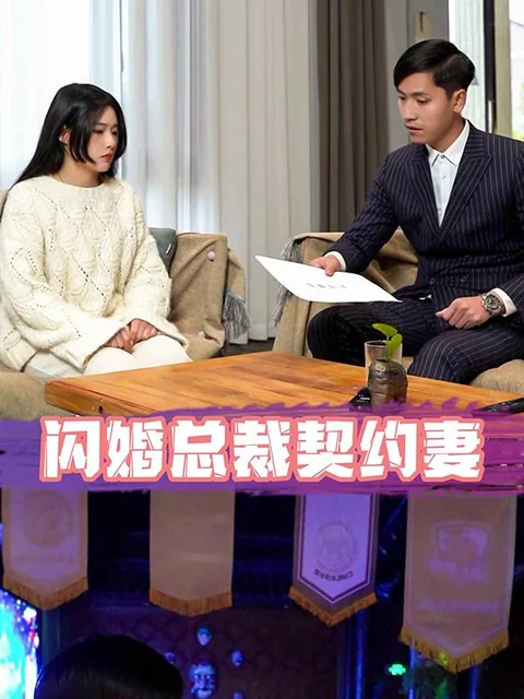 闪婚总裁契约妻
