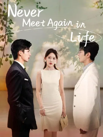 Never Meet Again in Life