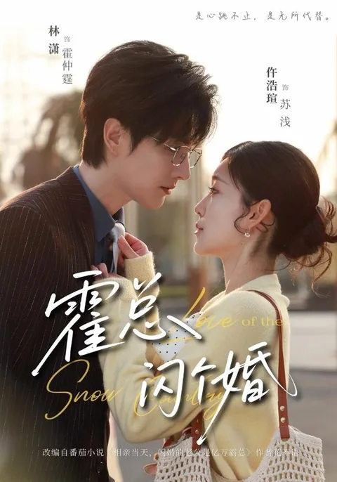 곽총섬개혼 (霍总，闪个婚) HongGuo