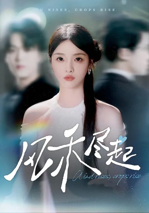 风禾尽起