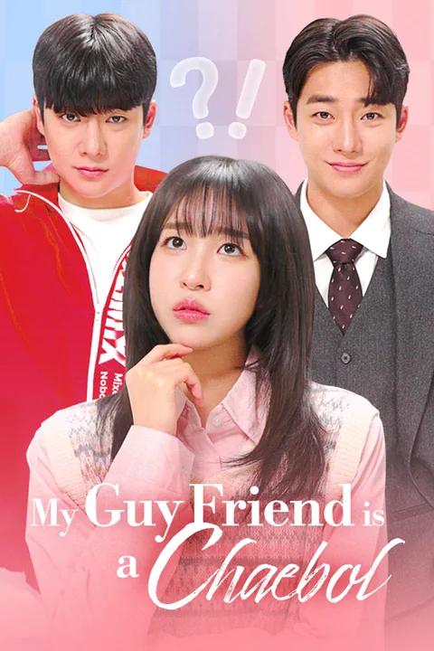 My Guy Friend is a Chaebol Vigloo