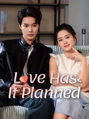 Operation Love: Married on Duty iQIYI