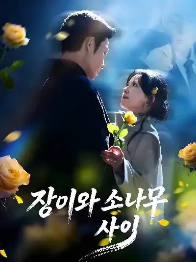 장미와 소나무 사이